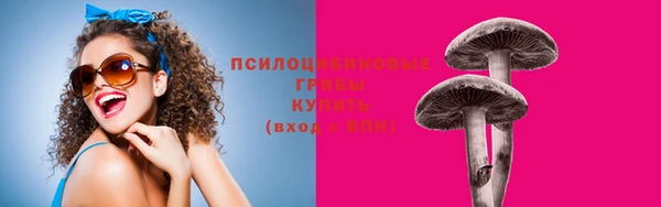 mdpv Магадан